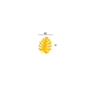 تاپر برگ 1<br/><br/> کد 3.34 - Image 2